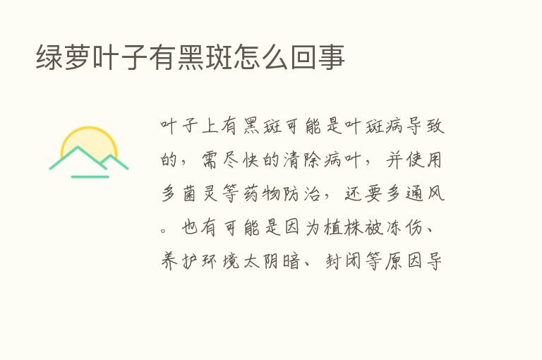 绿萝叶子有黑斑怎么回事