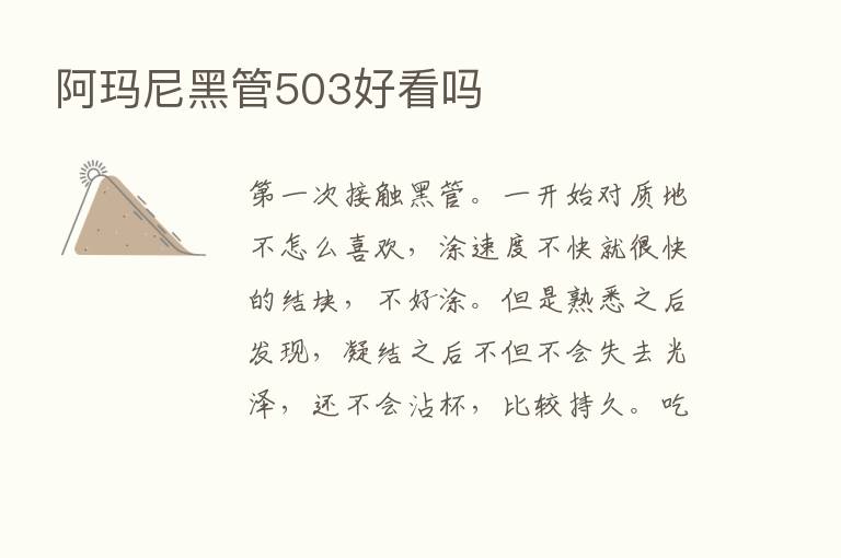 阿玛尼黑管503好看吗