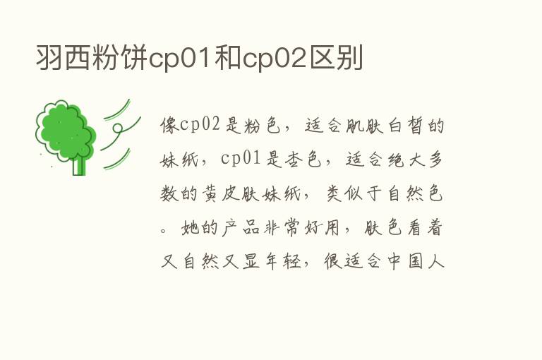 羽西粉饼cp01和cp02区别