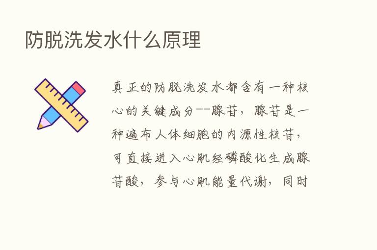 防脱洗发水什么原理