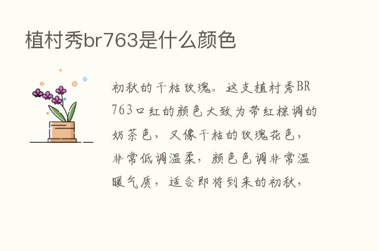 植村秀br763是什么颜色