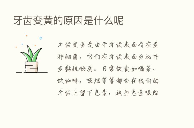 牙齿变黄的原因是什么呢