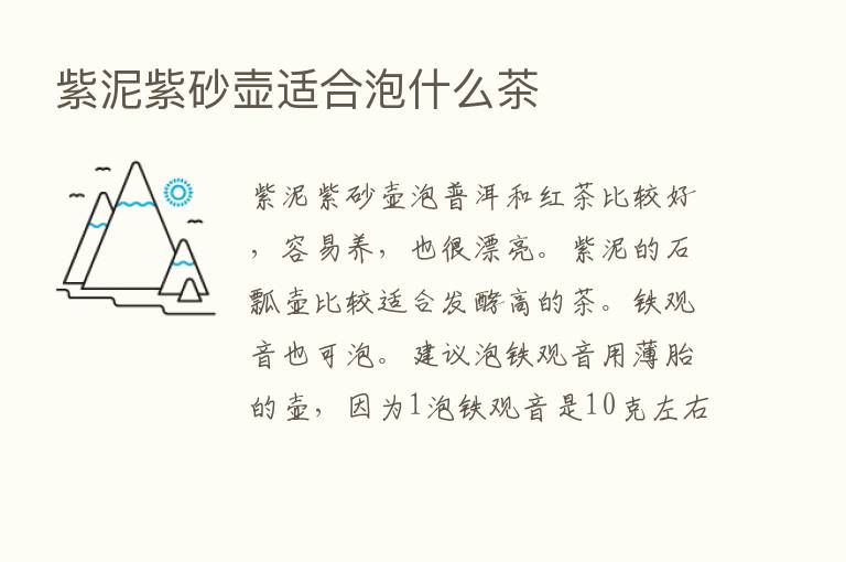 紫泥紫砂壶适合泡什么茶