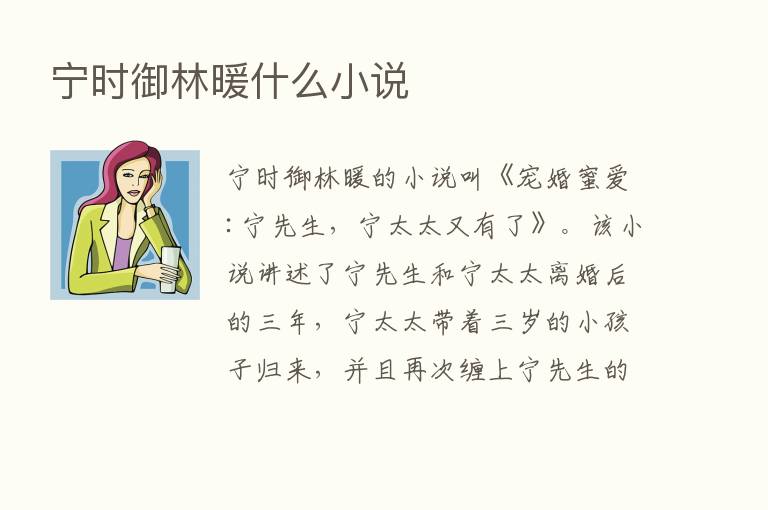 宁时御林暖什么小说