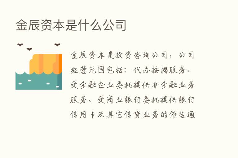 金辰资本是什么公司