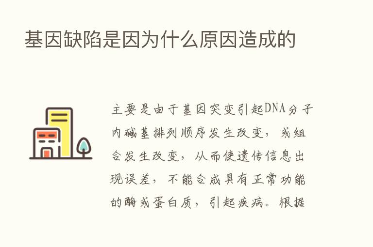 基因缺陷是因为什么原因造成的