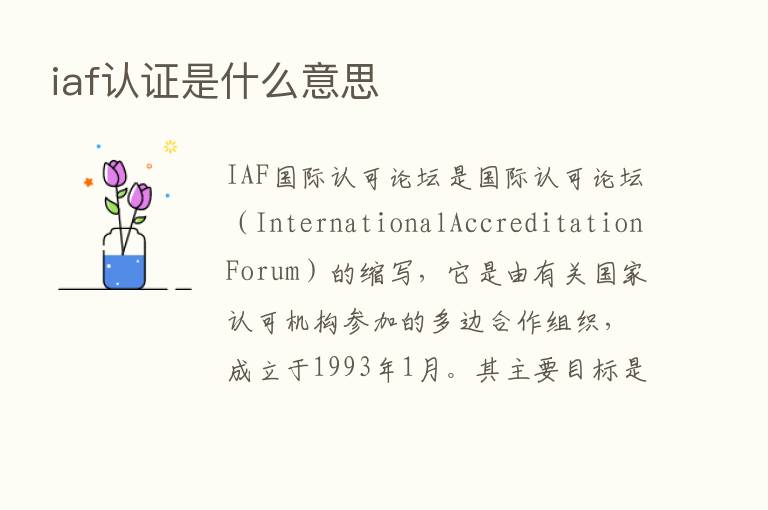 iaf认证是什么意思