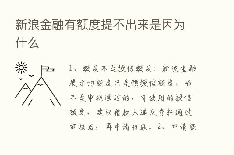 新浪金融有额度提不出来是因为什么