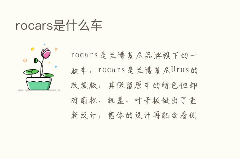 rocars是什么车