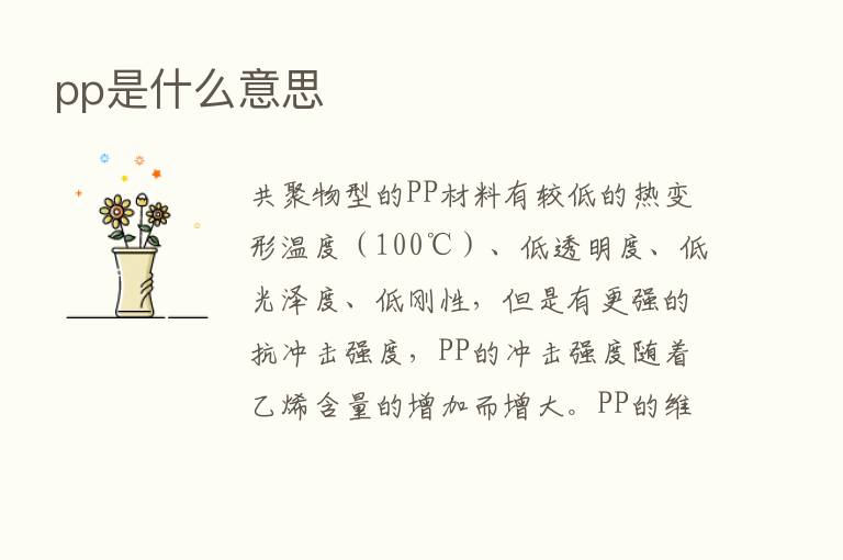 pp是什么意思