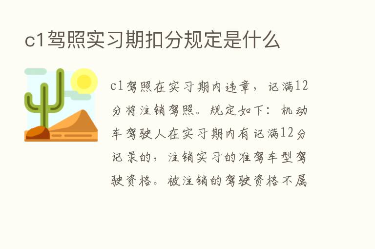 c1驾照实习期扣分规定是什么