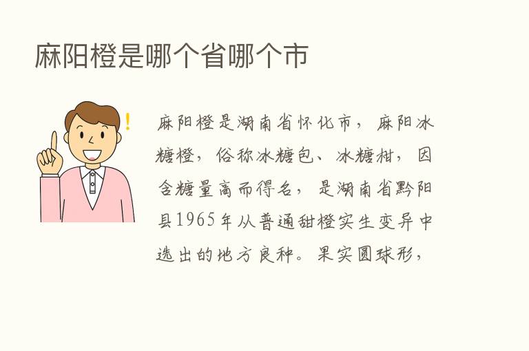 麻阳橙是哪个省哪个市