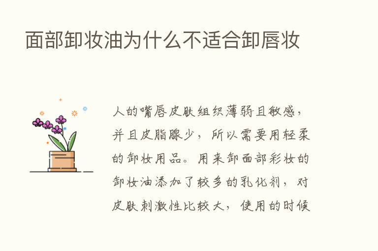 面部卸妆油为什么不适合卸唇妆