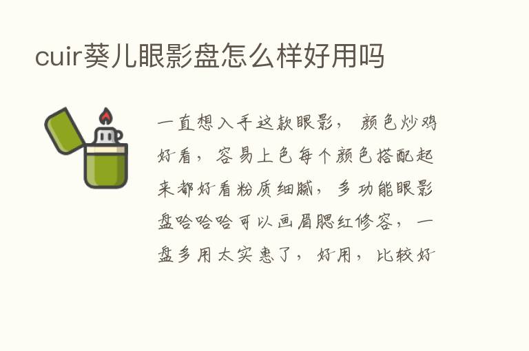 cuir葵儿眼影盘怎么样好用吗