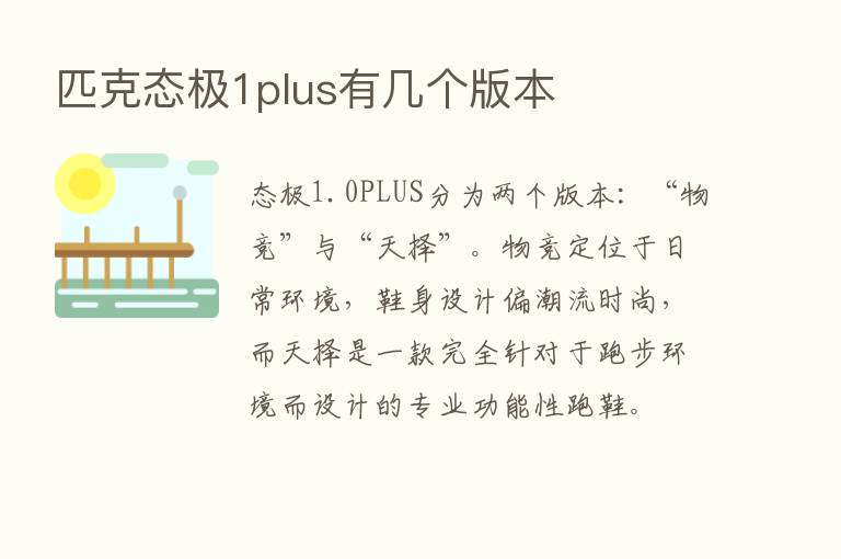 匹克态极1plus有几个版本