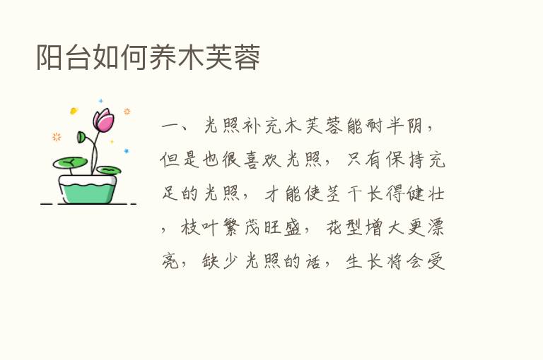 阳台如何养木芙蓉