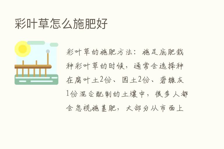 彩叶草怎么施肥好