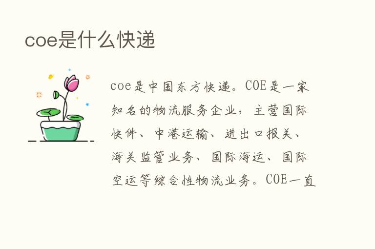 coe是什么快递