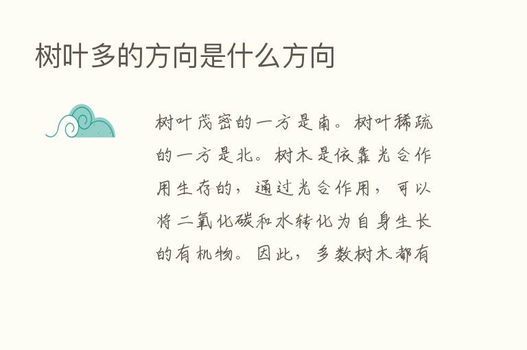 树叶多的方向是什么方向