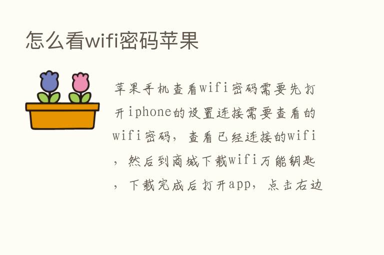 怎么看wifi密码苹果