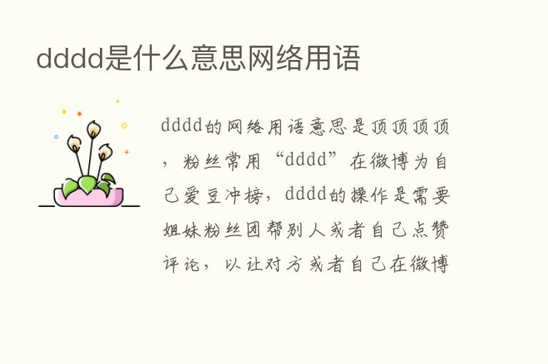 dddd是什么意思网络用语