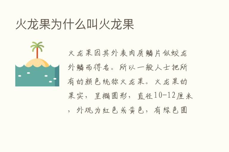 火龙果为什么叫火龙果