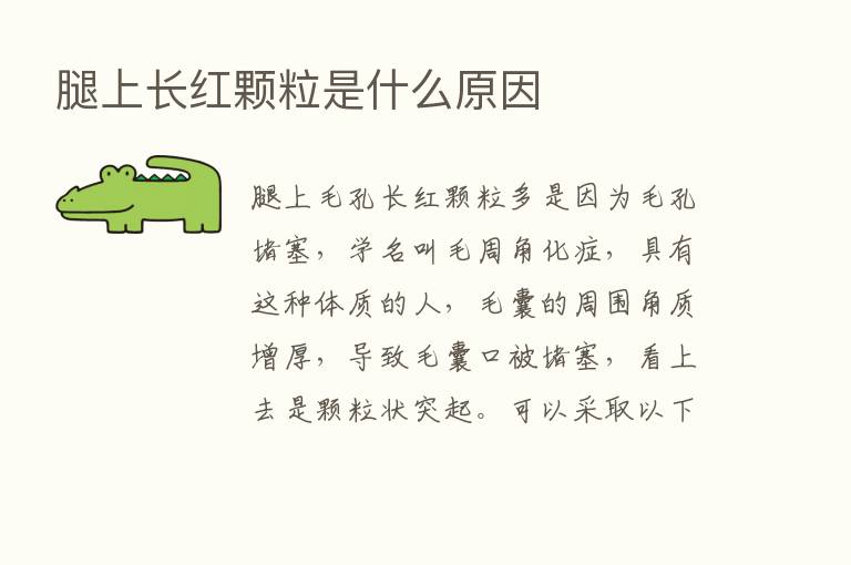 腿上长红颗粒是什么原因