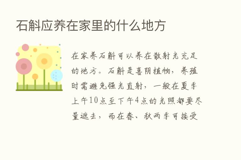 石斛应养在家里的什么地方