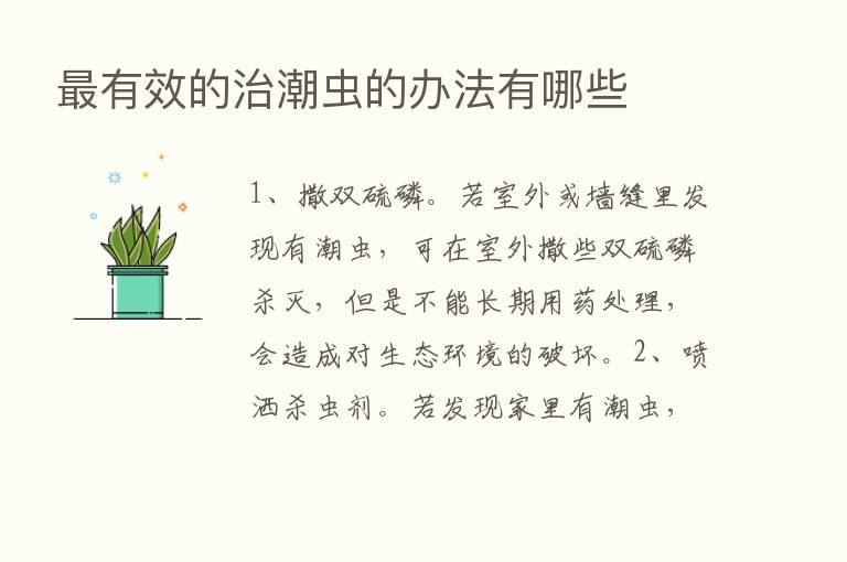    有效的治潮虫的办法有哪些