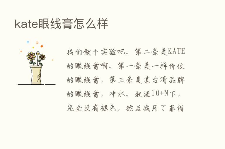 kate眼线膏怎么样