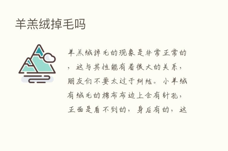 羊羔绒掉毛吗