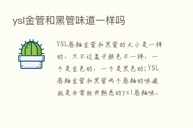 ysl金管和黑管味道一样吗