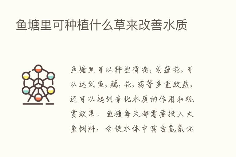 鱼塘里可种植什么草来改善水质