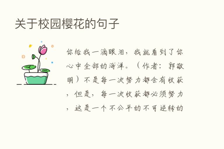 关于校园樱花的句子