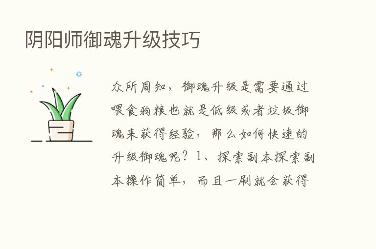 阴阳师御魂升级技巧