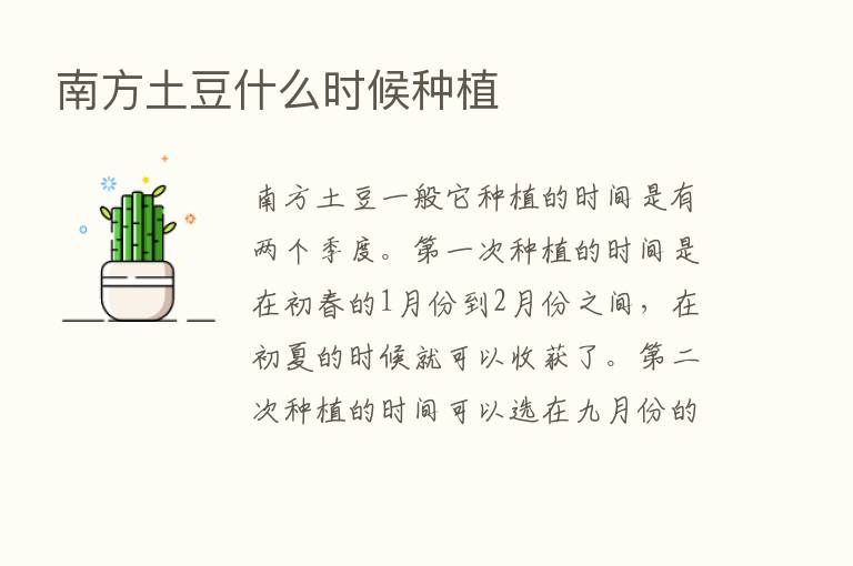 南方土豆什么时候种植