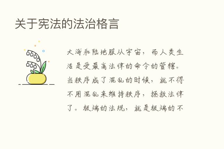 关于宪法的法治格言