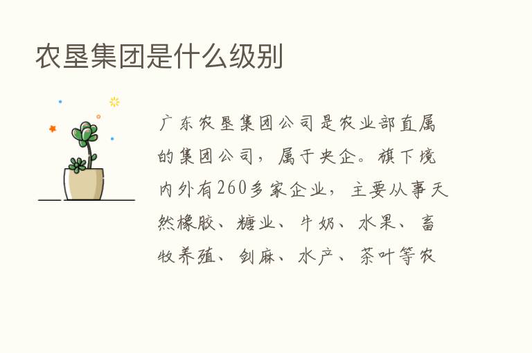 农垦集团是什么级别