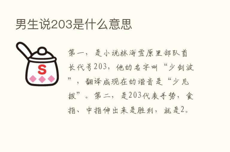 男生说203是什么意思