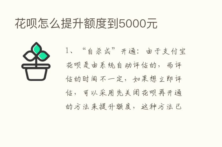 花呗怎么提升额度到5000元