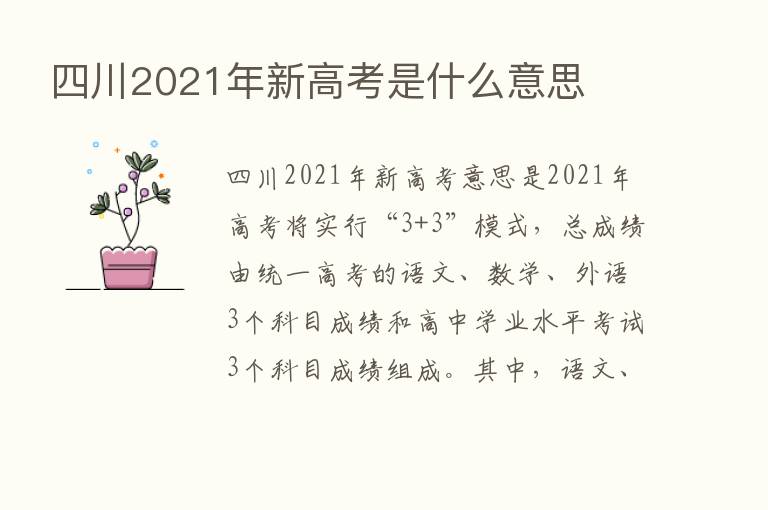 四川2021年新高考是什么意思