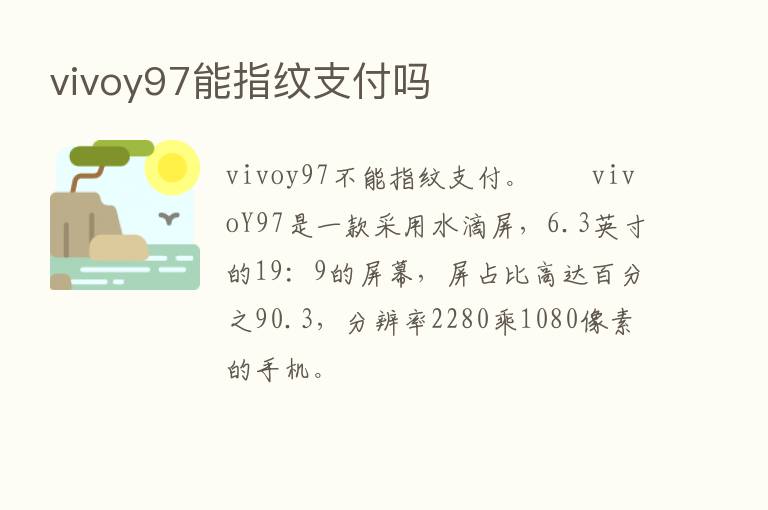 vivoy97能指纹支付吗