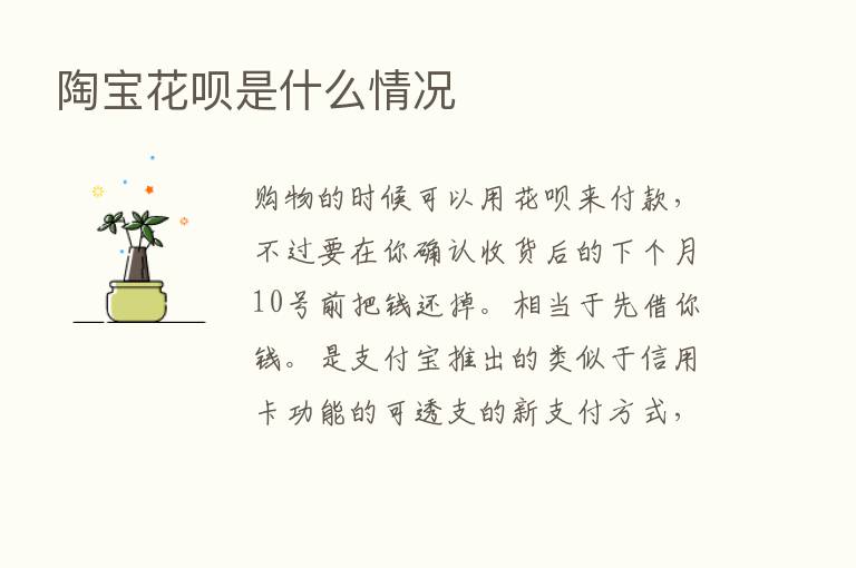 陶宝花呗是什么情况