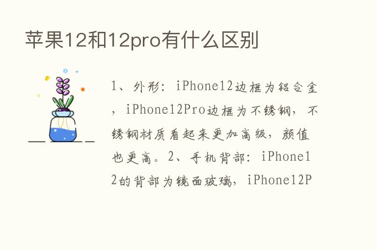 苹果12和12pro有什么区别