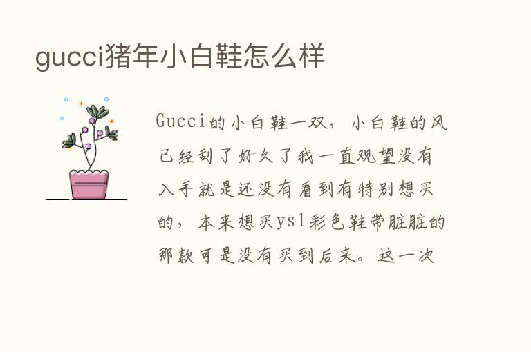 gucci猪年小白鞋怎么样