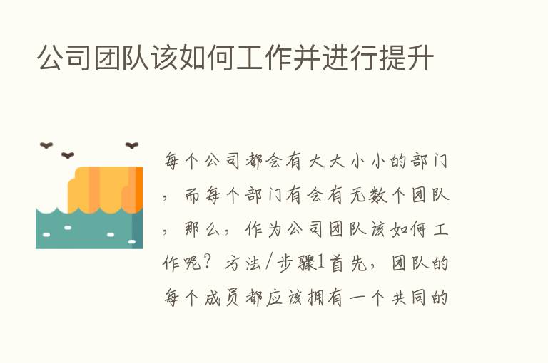 公司团队该如何工作并进行提升