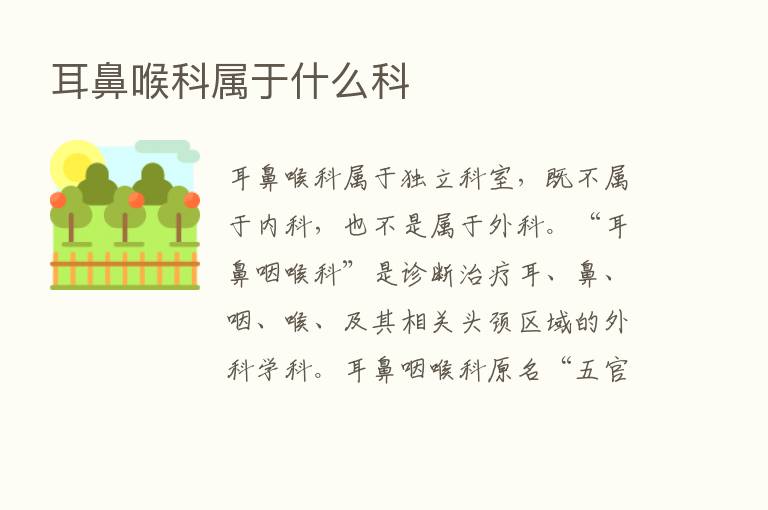 耳鼻喉科属于什么科