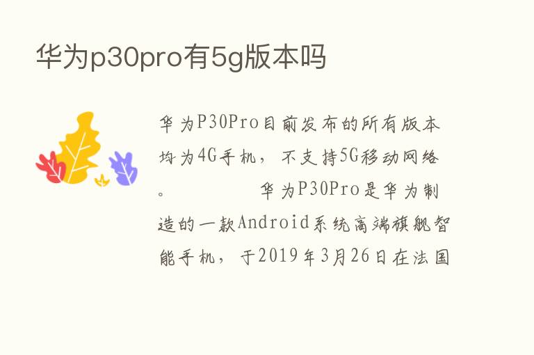 华为p30pro有5g版本吗