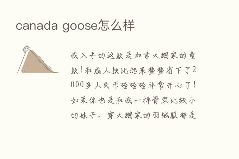 canada goose怎么样