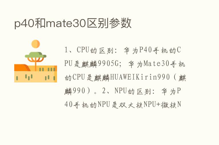 p40和mate30区别参数